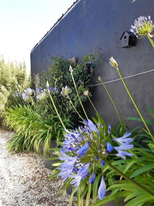 Logement 80 M2 Avec Terrasses Entre Les Deux Abers Landeda Bagian luar foto
